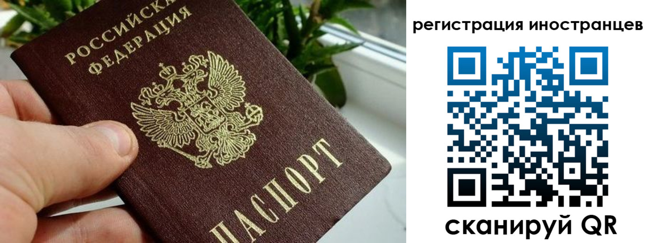 регистрация в Каменск-Шахтинском